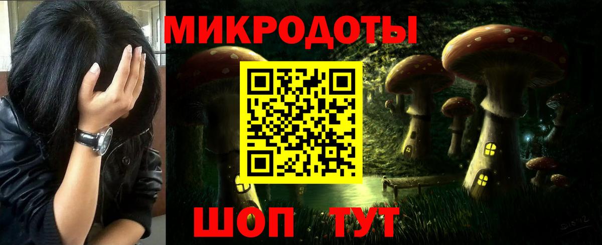 Псилоцибиновые грибы Psilocybine cubensis Ишим