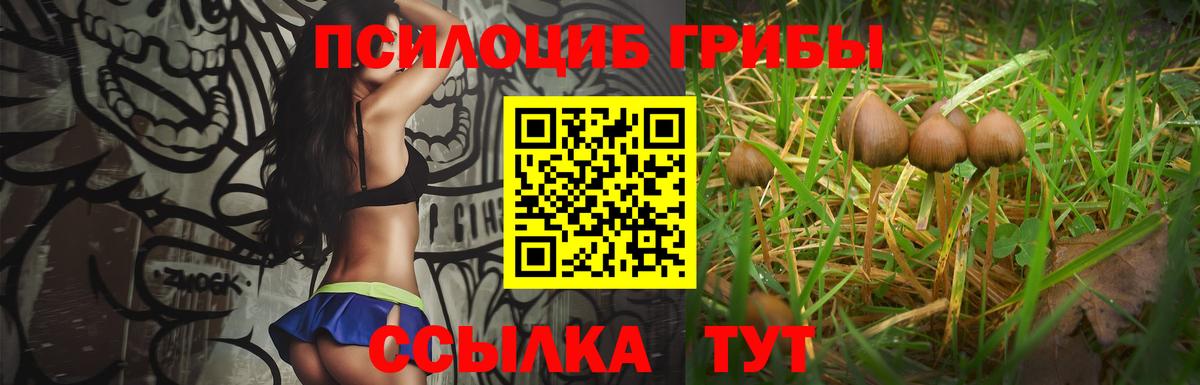 Галлюциногенные грибы ЛСД  Вход с VPN  Псилоцибиновые грибы Psilocybe  закладка  Ишим 